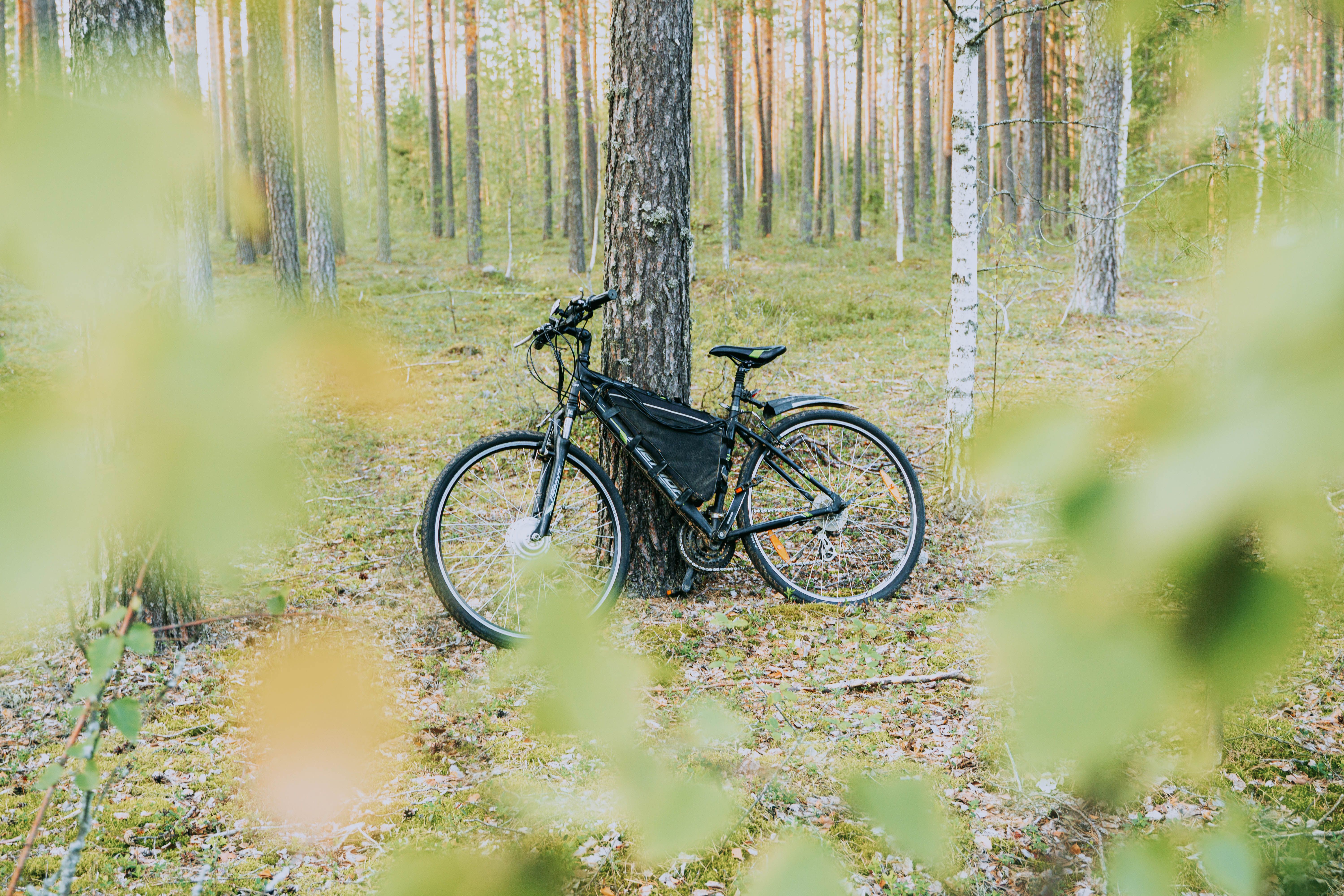 Trekking e-bike case for French retail content localization
